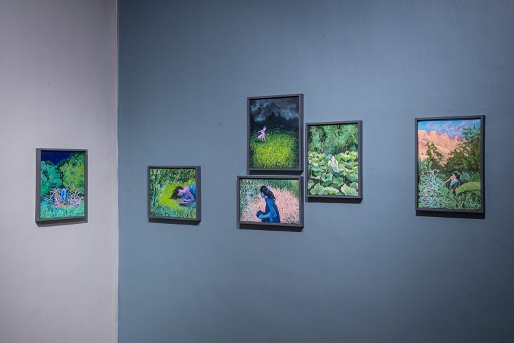 installation views